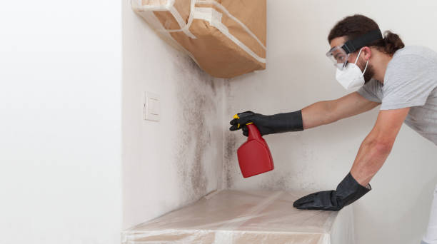 Attic Mold Remediation treatment on roof deck in Marlboro