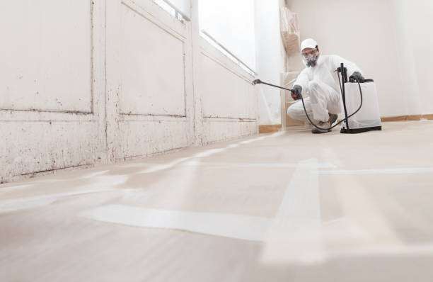 Black mold remediation team in Marlboro